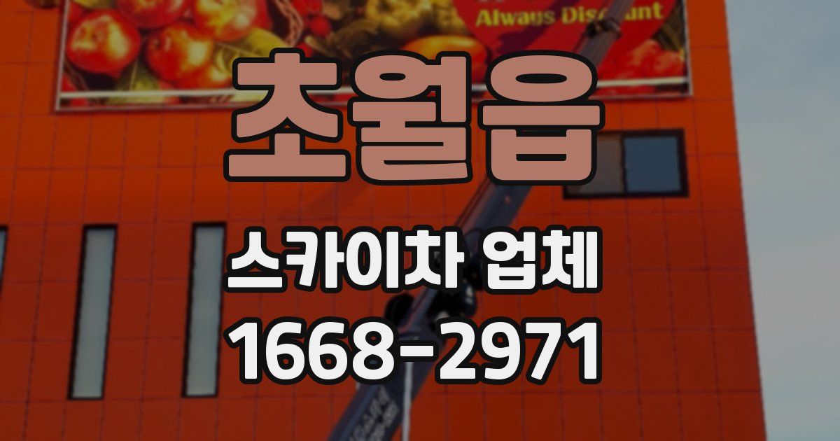 초월읍 스카이차 업체