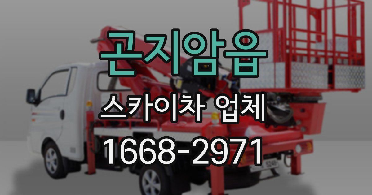 곤지암읍 스카이차 업체
