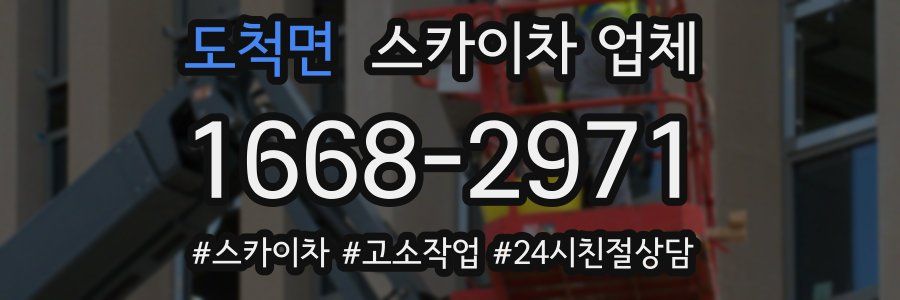 도척면 스카이차 업체