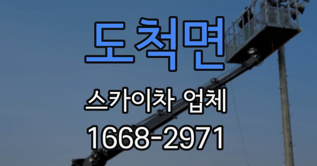 도척면 스카이차 업체