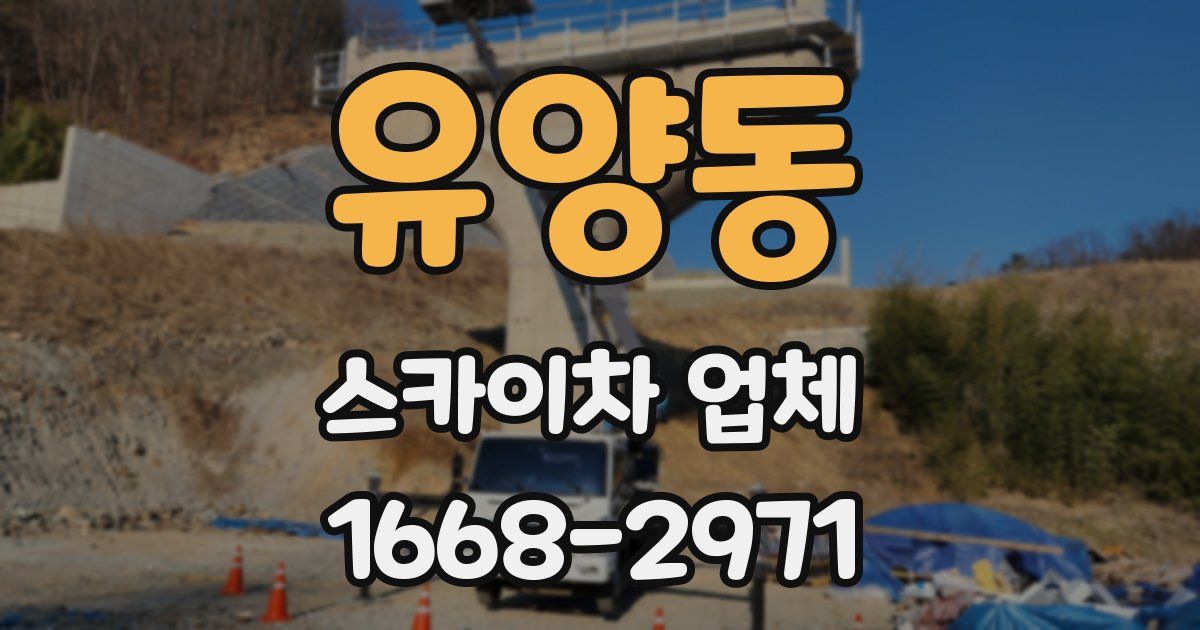 유양동 스카이차 업체