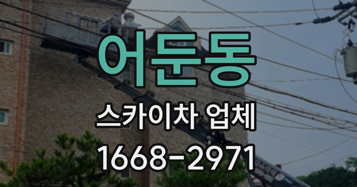 어둔동 스카이차 업체