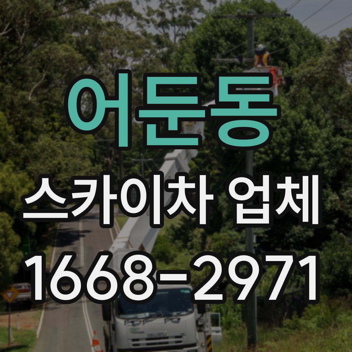 어둔동 스카이차 업체