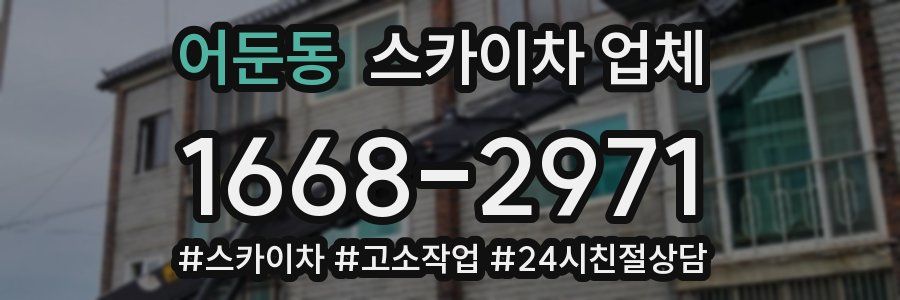 어둔동 스카이차 업체