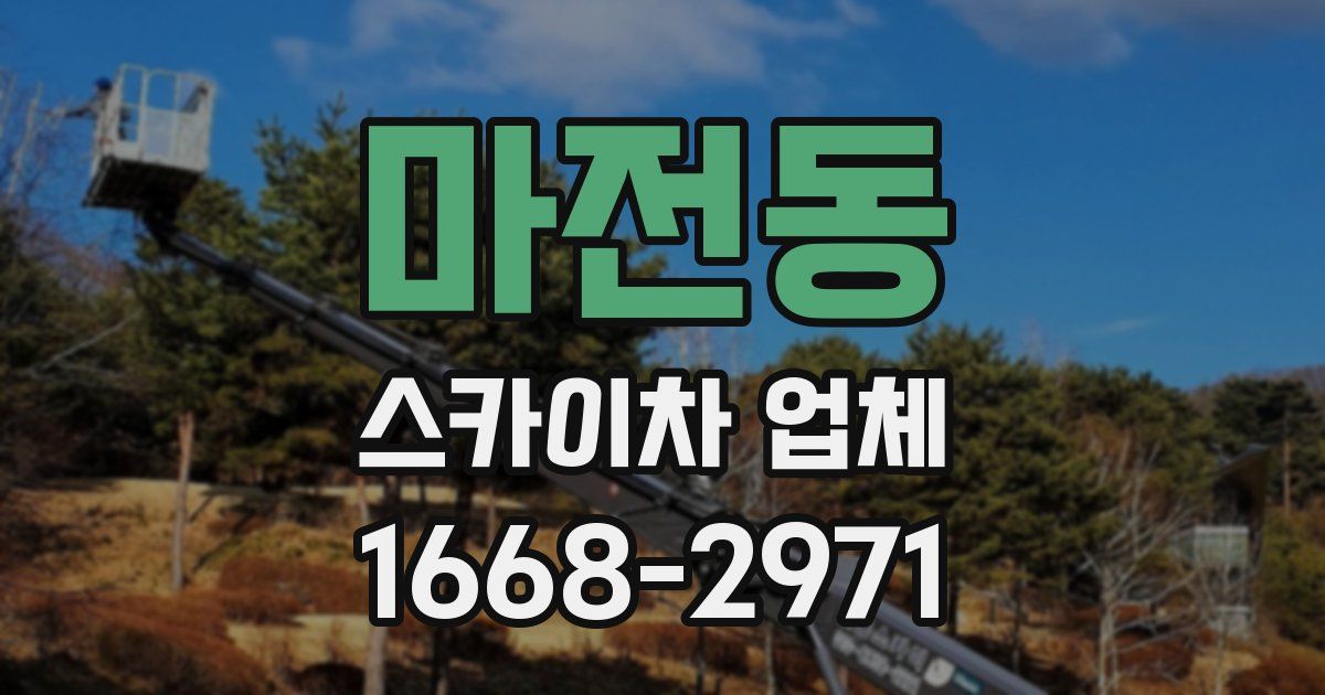 마전동 스카이차 업체