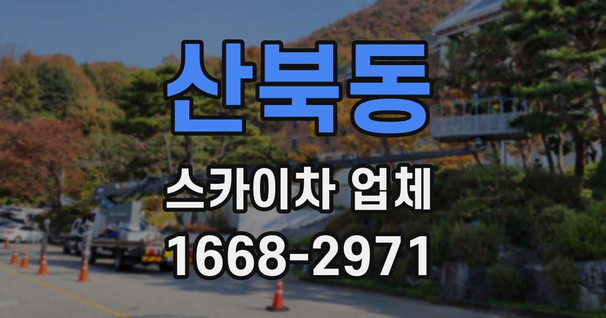 산북동 스카이차 업체