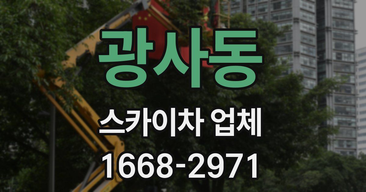 광사동 스카이차 업체