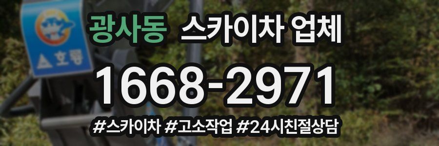 광사동 스카이차 업체