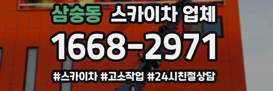 삼숭동 스카이차 업체