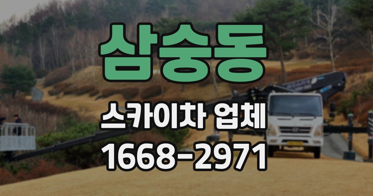 삼숭동 스카이차 업체