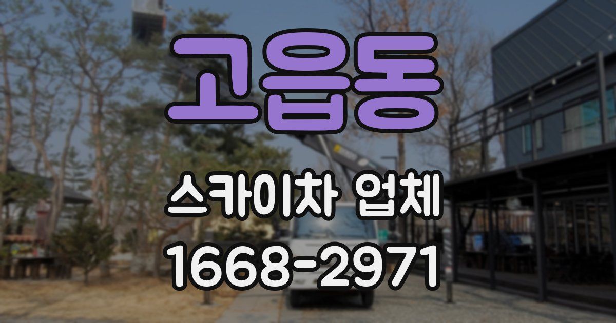고읍동 스카이차 업체