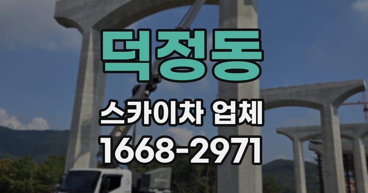 덕정동 스카이차 업체