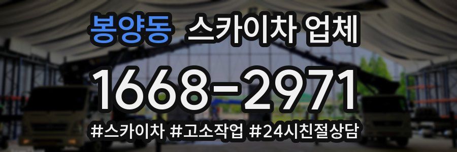 봉양동 스카이차 업체