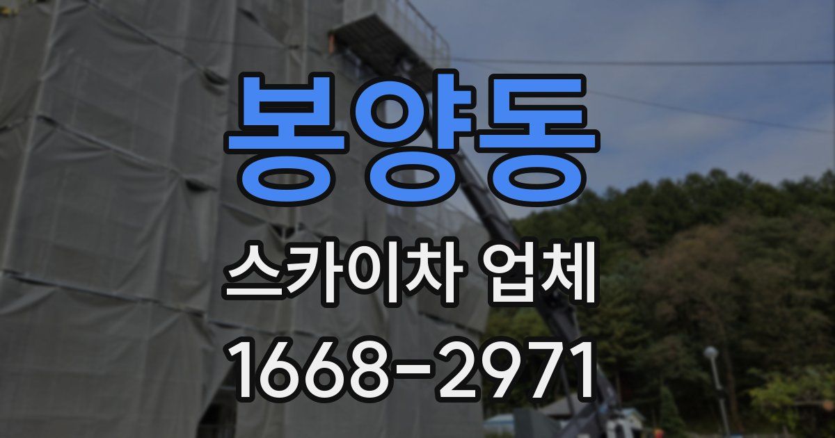봉양동 스카이차 업체