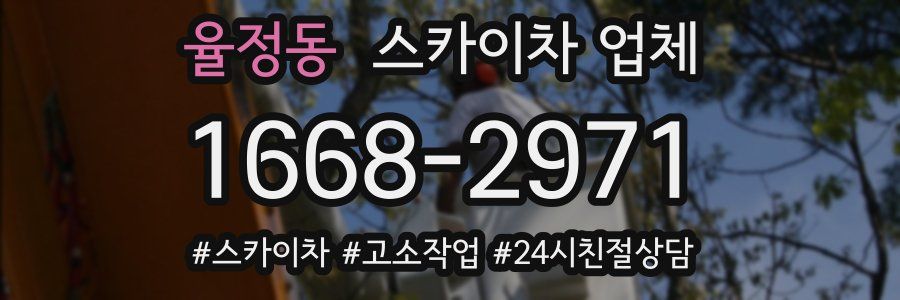 율정동 스카이차 업체