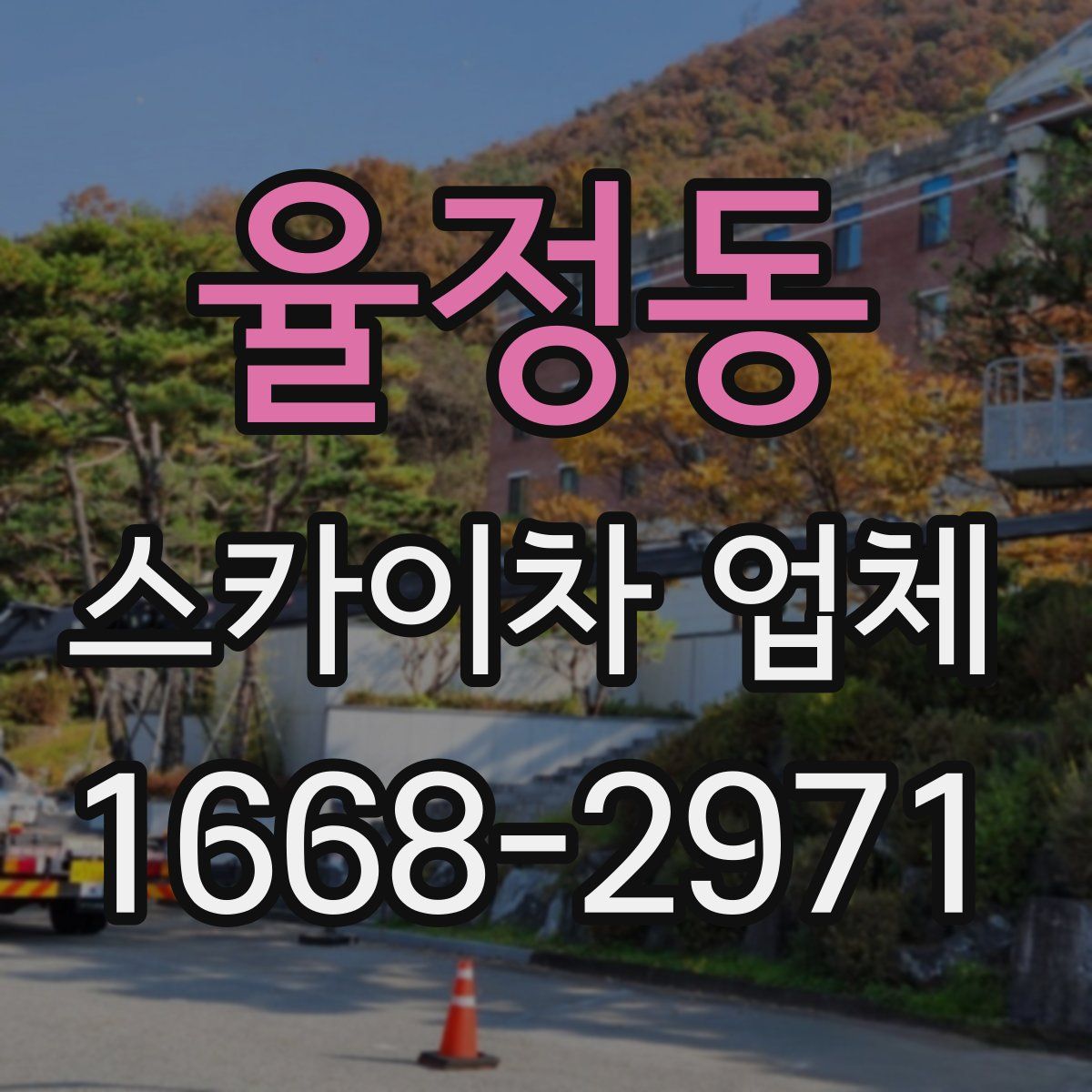 율정동 스카이차 업체