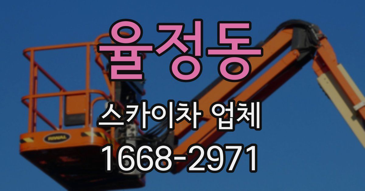율정동 스카이차 업체