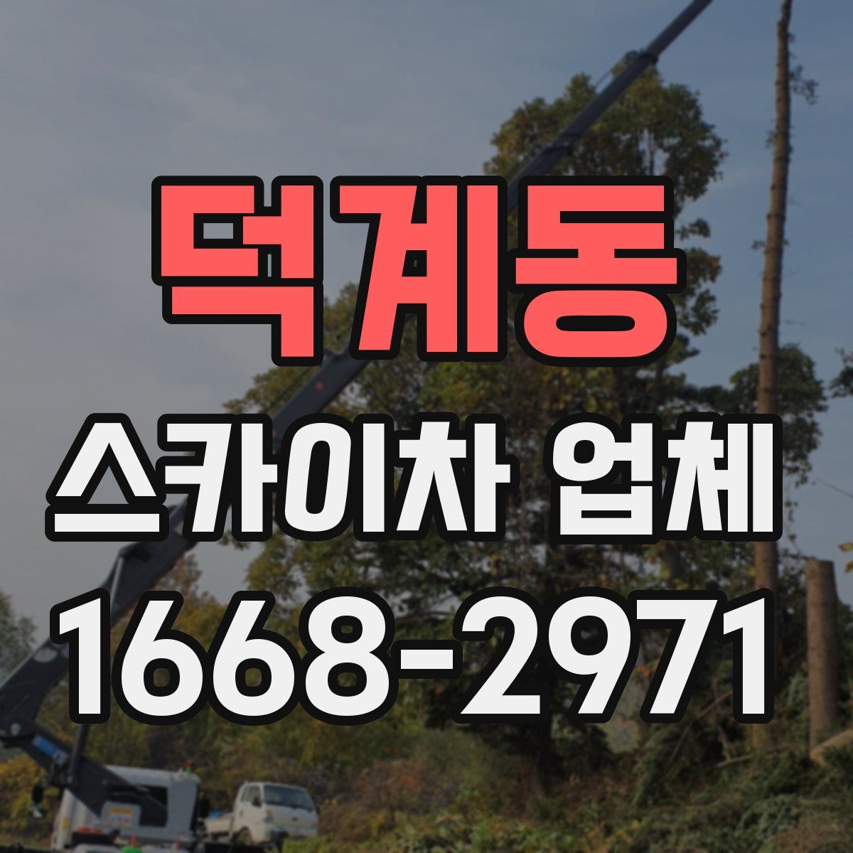 덕계동 스카이차 업체