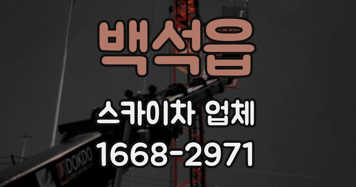 백석읍 스카이차 업체