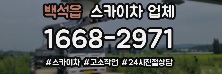 백석읍 스카이차 업체