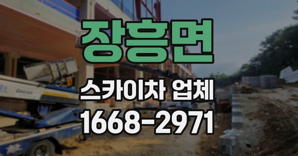 장흥면 스카이차 업체