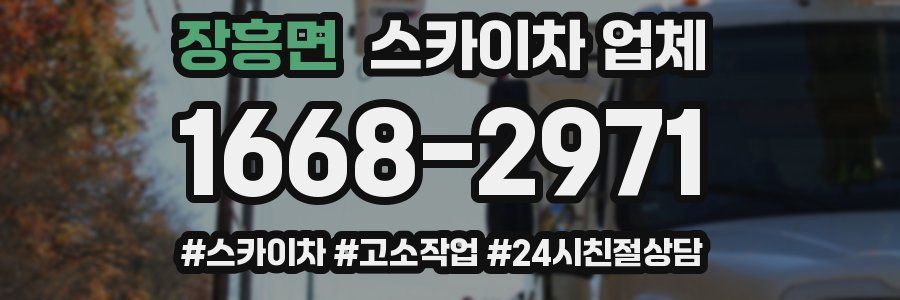 장흥면 스카이차 업체