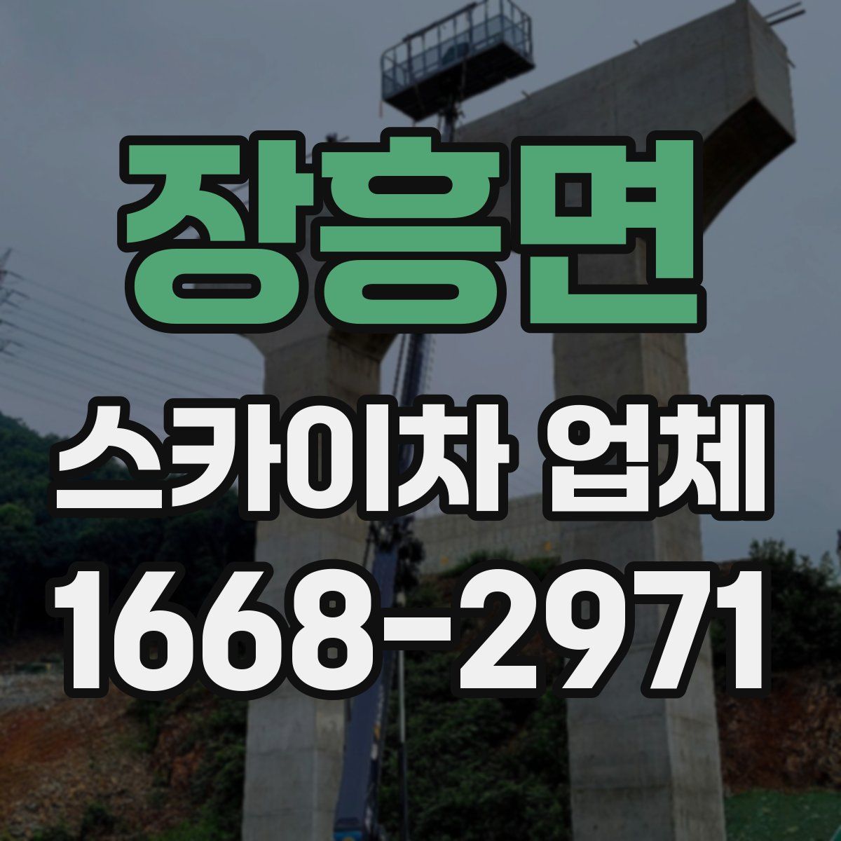 장흥면 스카이차 업체