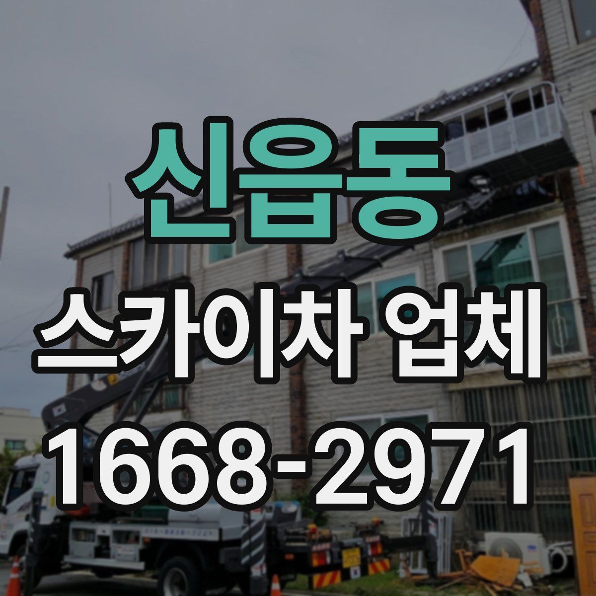 신읍동 스카이차 업체