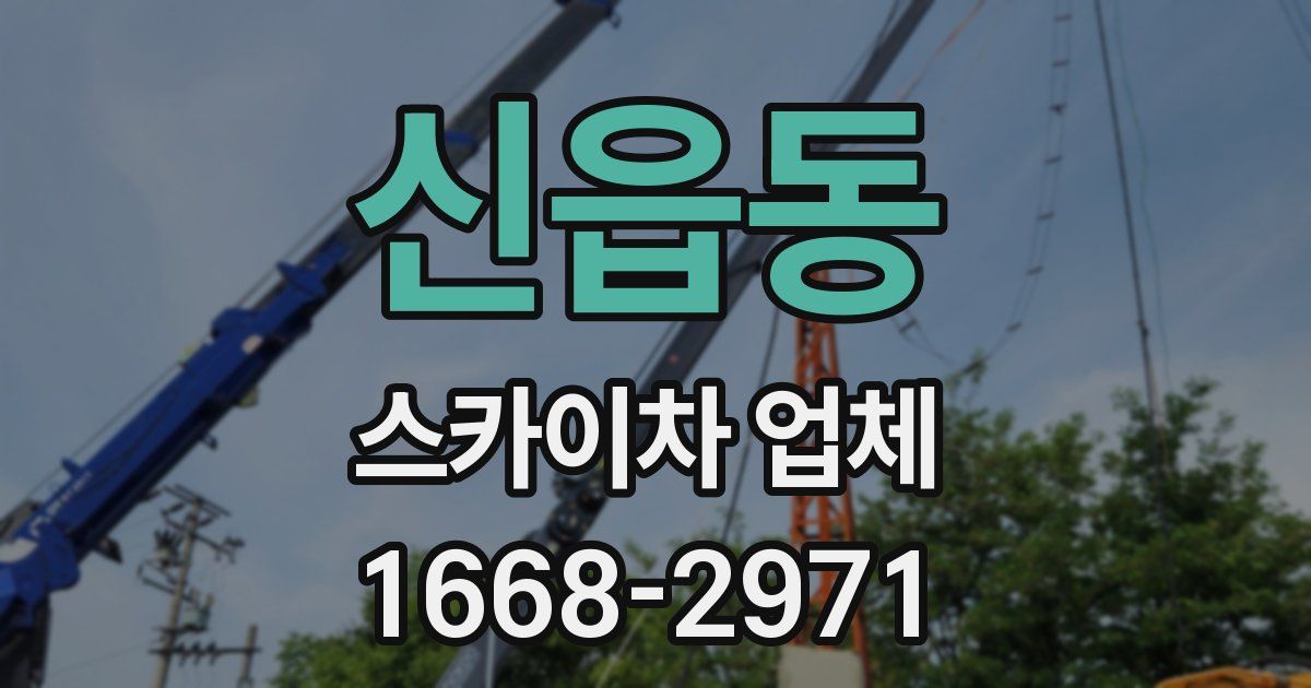 신읍동 스카이차 업체