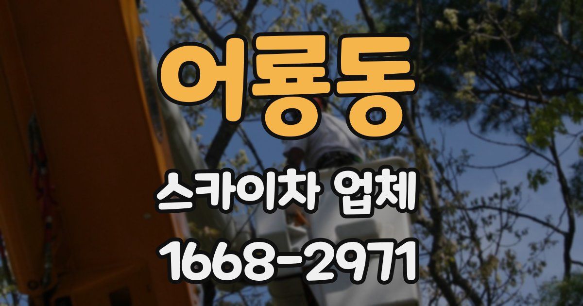 어룡동 스카이차 업체