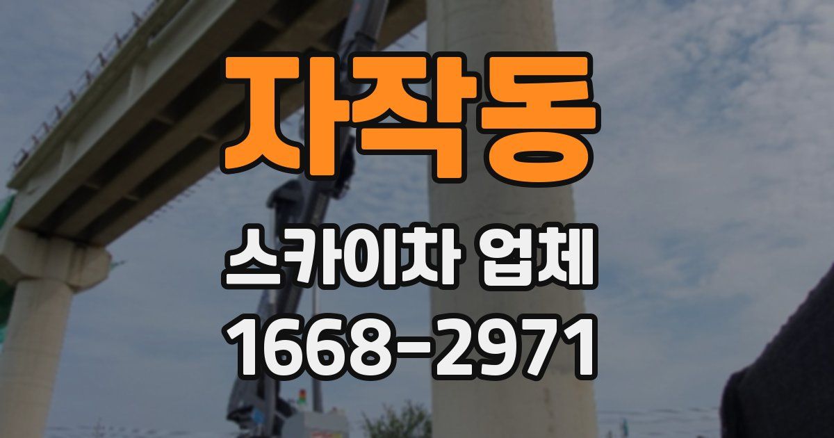자작동 스카이차 업체