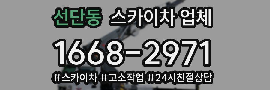 선단동 스카이차 업체