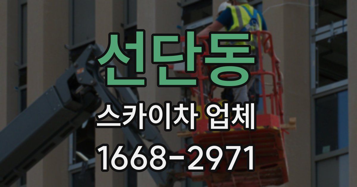 선단동 스카이차 업체