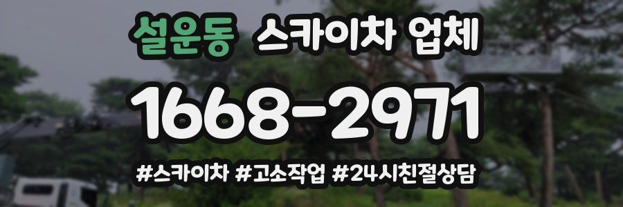 설운동 스카이차 업체