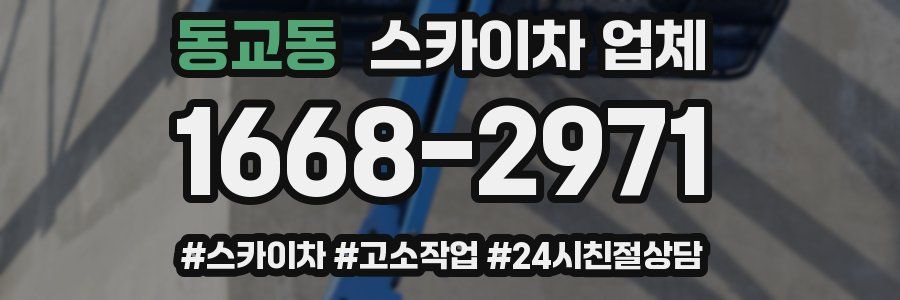 동교동 스카이차 업체
