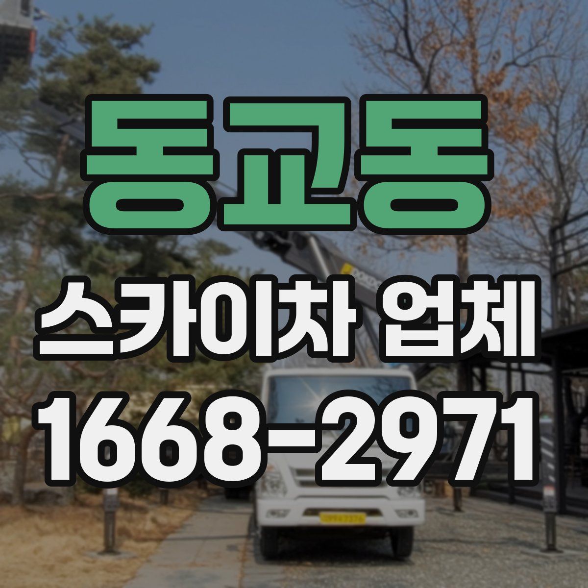 동교동 스카이차 업체