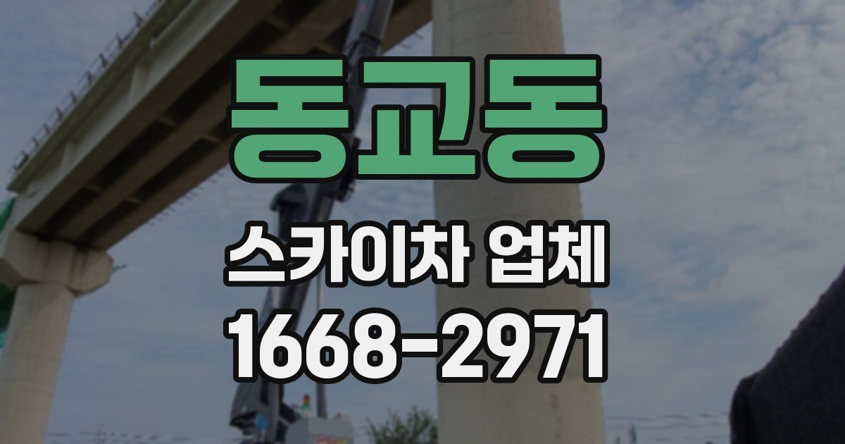 동교동 스카이차 업체