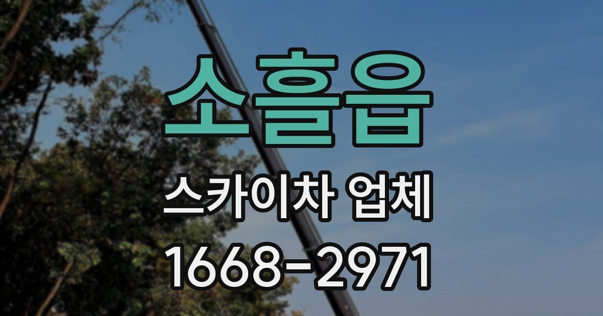 소흘읍 스카이차 업체