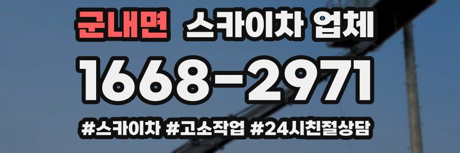 군내면 스카이차 업체