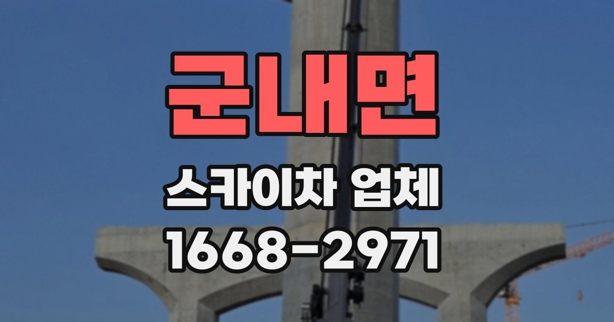 군내면 스카이차 업체
