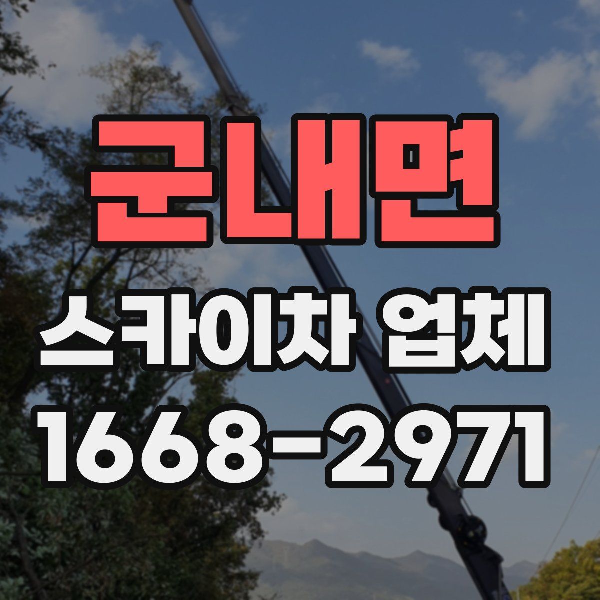 군내면 스카이차 업체