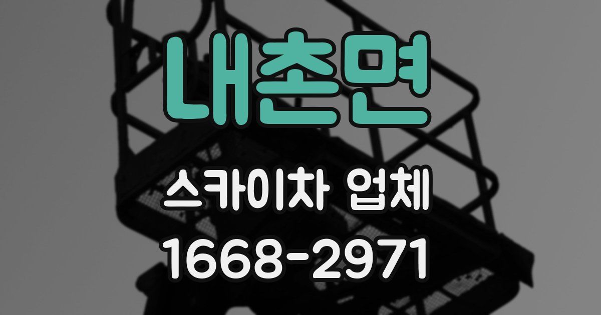 내촌면 스카이차 업체