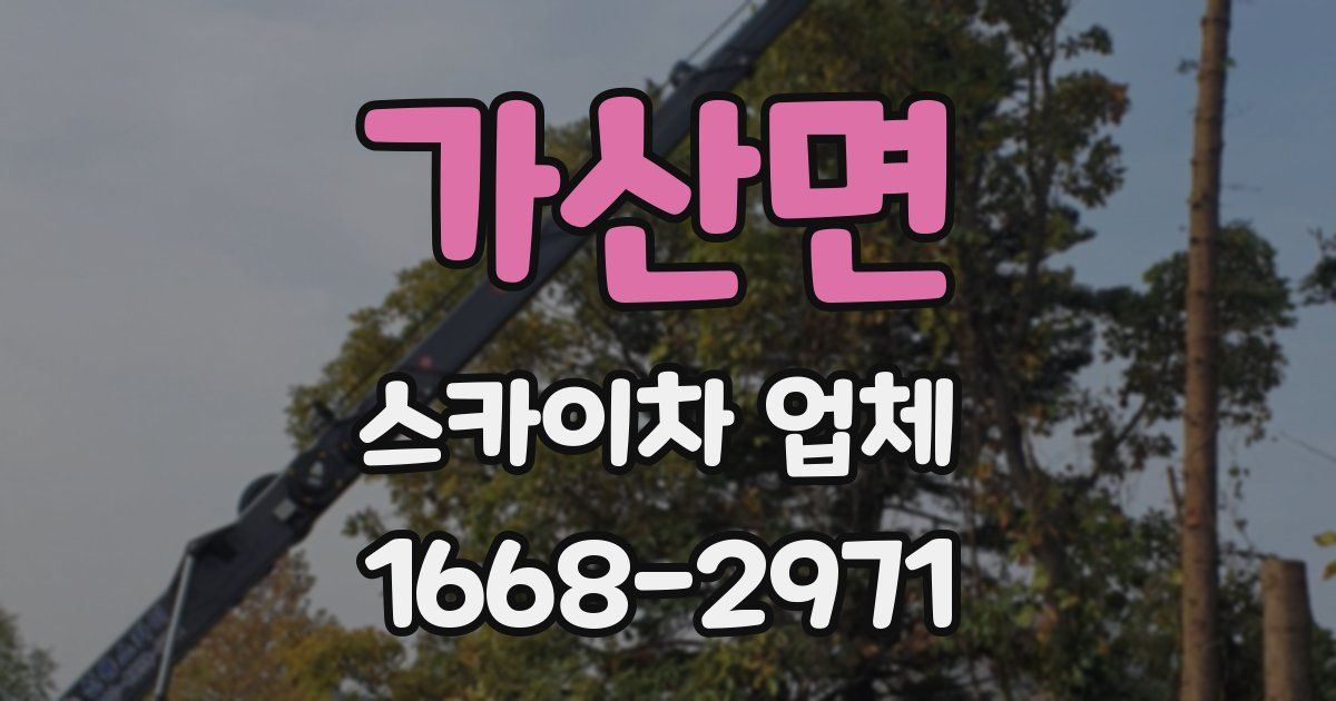 가산면 스카이차 업체