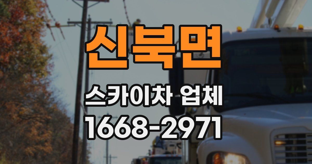 신북면 스카이차 업체