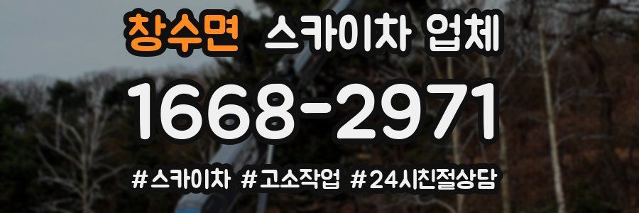 창수면 스카이차 업체