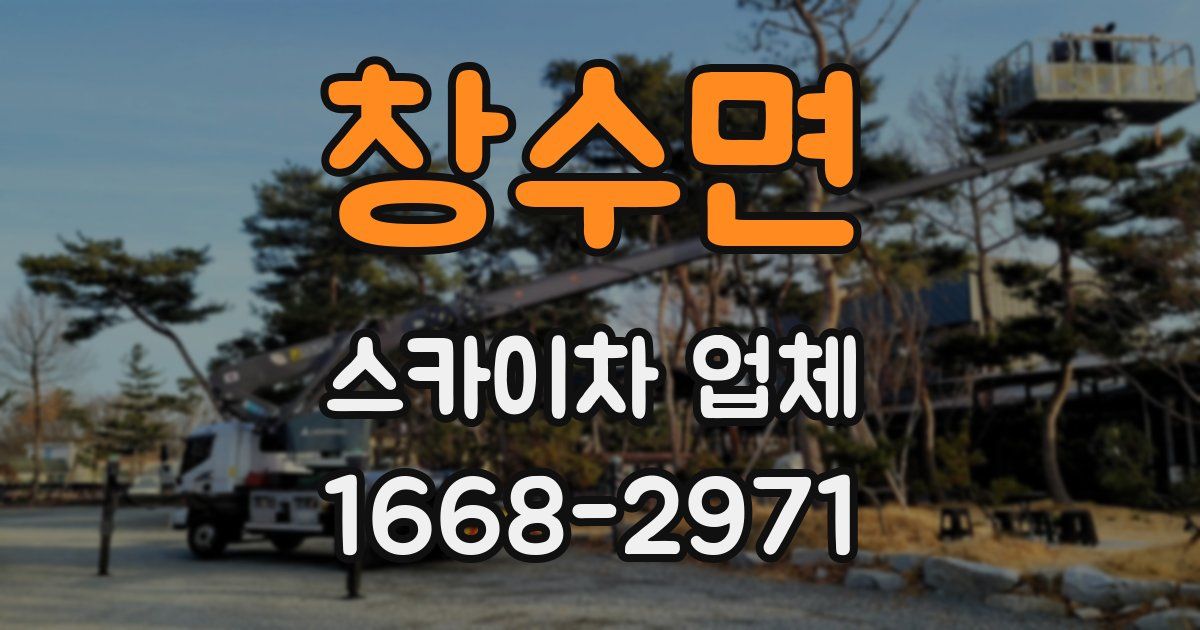 창수면 스카이차 업체