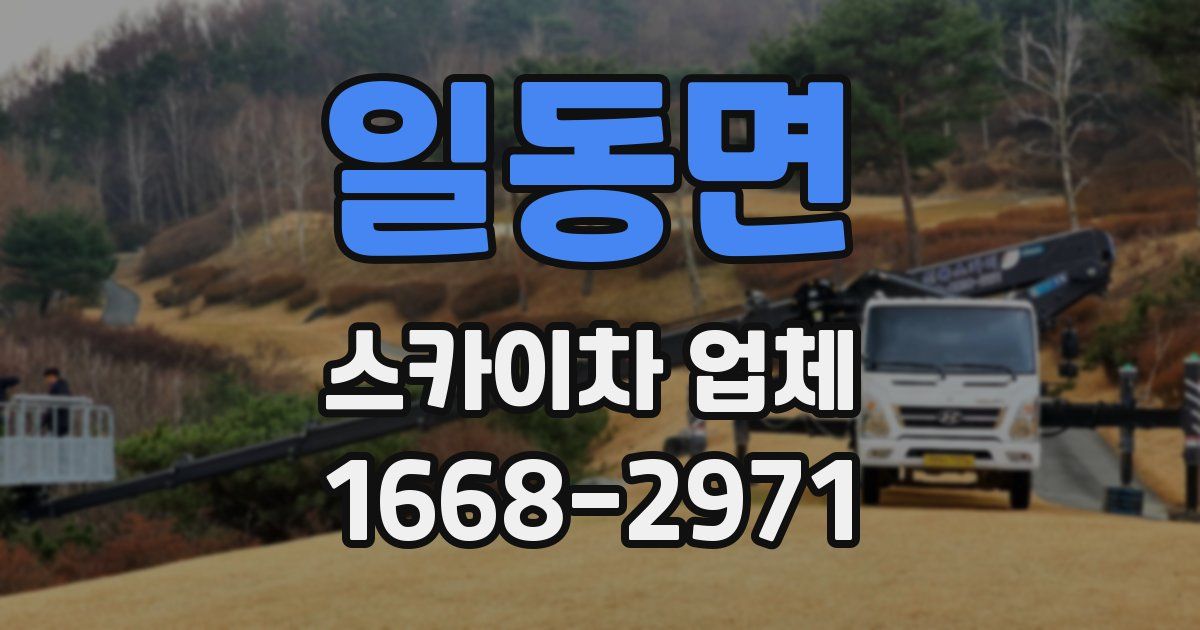 일동면 스카이차 업체