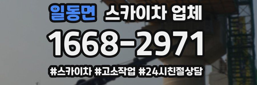 일동면 스카이차 업체