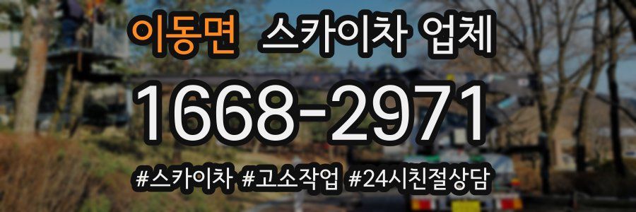 이동면 스카이차 업체