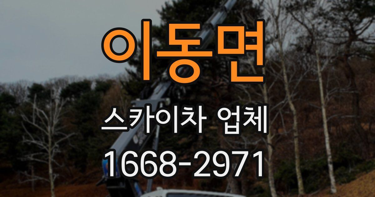 이동면 스카이차 업체